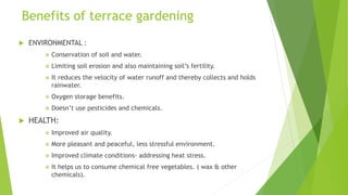Terrace farming | PPTX
