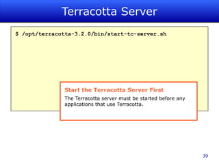Form View Census View Web Application 