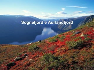 Sognefjord e Aurlandfjord
 