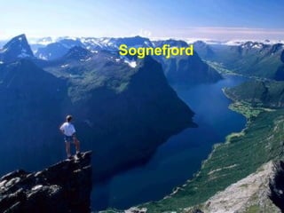 Sognefjord
 