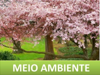 73MEIO AMBIENTE
