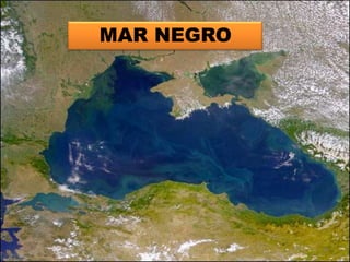 MAR NEGRO87
