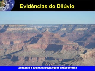 Evidências do Dilúvio
 