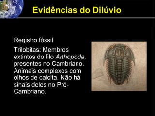 Evidências do Dilúvio
Registro fóssil
Trilobitas: Membros
extintos do filo Arthopoda,
presentes no Cambriano.
Animais complexos com
olhos de calcita. Não há
sinais deles no Pré-
Cambriano.
 