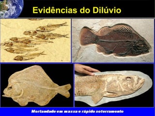Evidências do Dilúvio
 