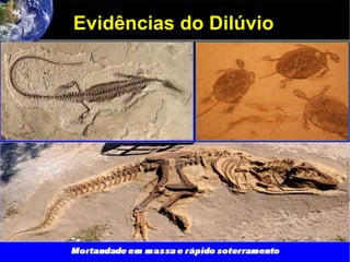 Evidências do Dilúvio
 