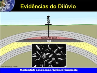 Evidências do Dilúvio
 