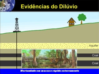 Evidências do Dilúvio
 