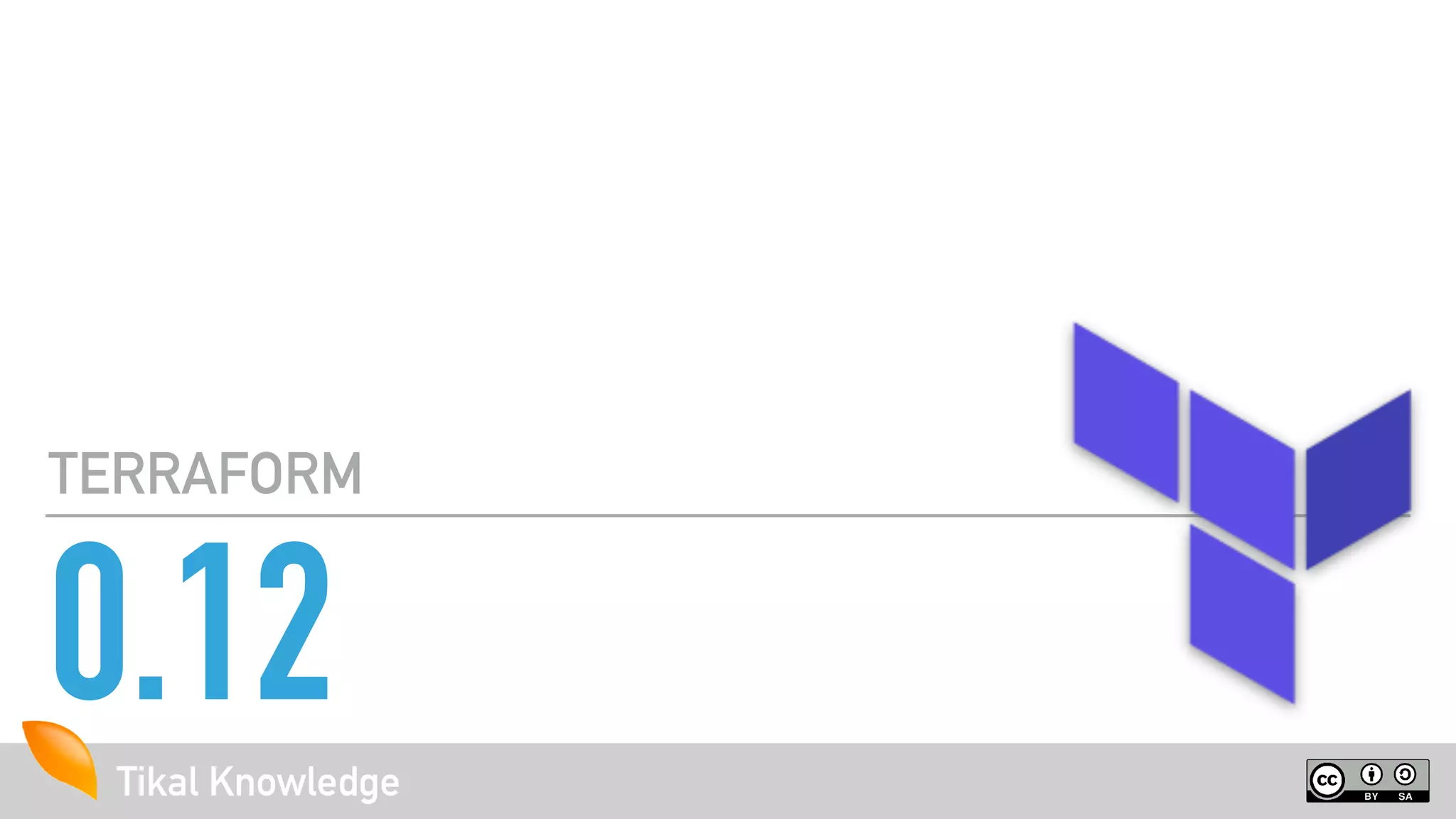 Tikal KnowledgeTikal Knowledge
0.12
TERRAFORM
 