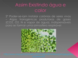 http://www.ceap.g12.br/projetos2002/Pagina2B/AndreasSam/geografia/  bacteria.htm 