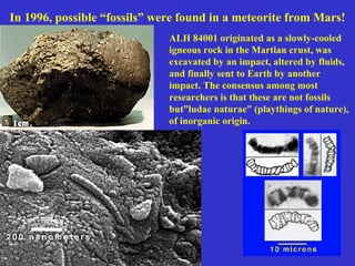 In 1996, possible “fossils” were found in a meteorite from Mars!
ALH 84001 originated as a slowly-cooled
igneous rock in the Martian crust, was
excavated by an impact, altered by fluids,
and finally sent to Earth by another
impact. The consensus among most
researchers is that these are not fossils
but”ludae naturae” (playthings of nature),
of inorganic origin.
 