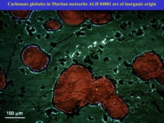 Carbonate globules in Martian meteorite ALH 84001 are of inorganic origin
 