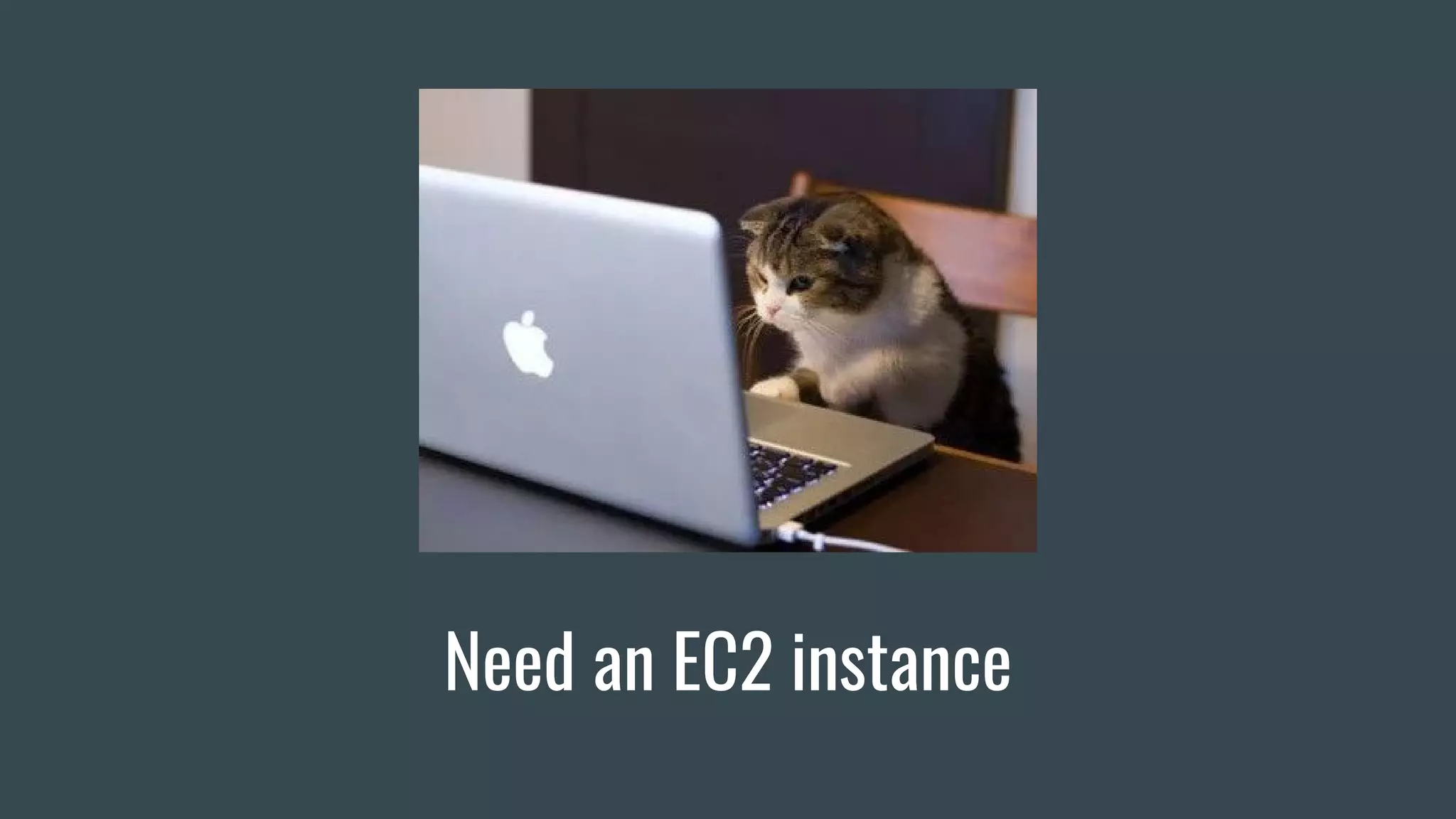 Need an EC2 instance
 