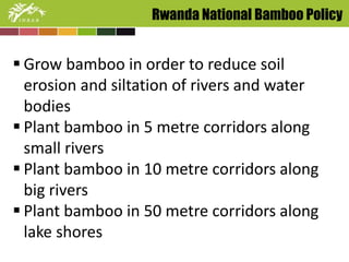 Rwanda National Bamboo Policy 
 Grow bamboo in order to reduce soil 
erosion and siltation of rivers and water 
bodies 
 Plant bamboo in 5 metre corridors along 
small rivers 
 Plant bamboo in 10 metre corridors along 
big rivers 
 Plant bamboo in 50 metre corridors along 
lake shores 
 