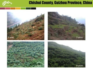Chishui County, Guizhou Province, China 
1 year 2 years 
3 years 8 years 
 
