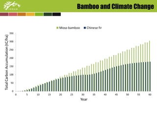 Bamboo and Climate Change 
 