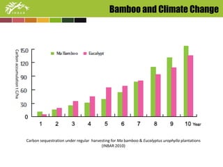 Carbon accumulation t C/ha 
Bamboo and Climate Change 
Carbon sequestration under regular harvesting for Ma bamboo & Eucalyptus urophylla plantations 
(INBAR 2010) 
 