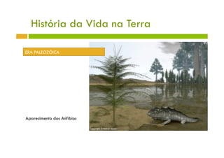 História da Vida na Terra

ERA PALEOZÓICA




Aparecimento dos Anfíbios
 
