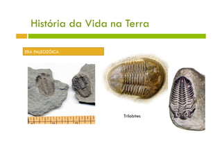 História da Vida na Terra

ERA PALEOZÓICA




                     Trilobites
 