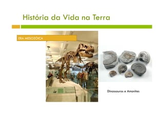 História da Vida na Terra

ERA MESOZÓICA




                          Dinossauros e Amonites
 
