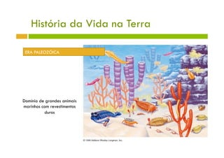 História da Vida na Terra

 ERA PALEOZÓICA




Domínio de grandes animais
marinhos com revestimentos
          duros
 