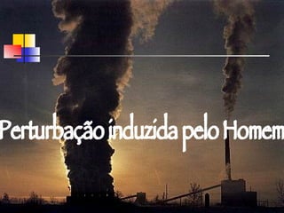 Perturbação induzida pelo Homem 