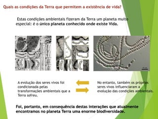 Quais as condições da Terra que permitem a existência de vida?
Foi, portanto, em consequência destas interações que atualmente
encontramos no planeta Terra uma enorme biodiversidade.
A evolução dos seres vivos foi
condicionada pelas
transformações ambientais que a
Terra sofreu.
No entanto, também os próprios
seres vivos influenciaram a
evolução das condições ambientais.
Estas condições ambientais fizeram da Terra um planeta muito
especial: é o único planeta conhecido onde existe Vida.
 