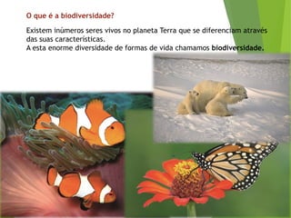 O que é a biodiversidade?
Existem inúmeros seres vivos no planeta Terra que se diferenciam através
das suas características.
A esta enorme diversidade de formas de vida chamamos biodiversidade.
 