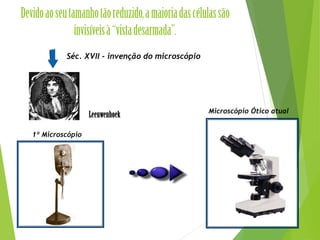 Séc. XVII - invenção do microscópio
Avanço da Ciência
1º Microscópio
Microscópio Ótico atual
 