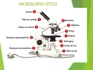 Ocular
Tubo ou canhão
Braço ou coluna
Parafuso macrométrico
Parafuso micrométrico
Base ou pé
Objetiva
Pinça
Platina
Diafragma
Fonte de luz
Revólver
?
?
?
?
?
?
?
?
?
?
?
?
MICROSCÓPIO ÓTICO
 