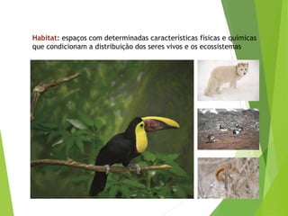 Habitat: espaços com determinadas características físicas e químicas
que condicionam a distribuição dos seres vivos e os ecossistemas
 