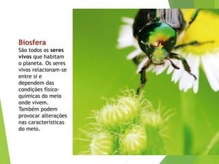 Biosfera
São todos os seres
vivos que habitam
o planeta. Os seres
vivos relacionam-se
entre si e
dependem das
condições físico-
químicas do meio
onde vivem.
Também podem
provocar alterações
nas características
do meio.
 