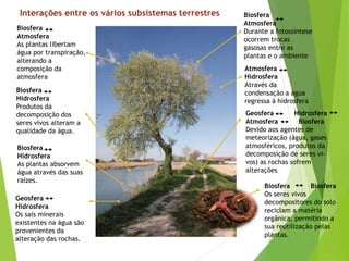 Interações entre os vários subsistemas terrestres
Biosfera
Atmosfera
As plantas libertam
água por transpiração,
alterando a
composição da
atmosfera
Biosfera
Hidrosfera
Produtos da
decomposição dos
seres vivos alteram a
qualidade da água.
Biosfera
Hidrosfera
As plantas absorvem
água através das suas
raízes.
Geosfera
Hidrosfera
Os sais minerais
existentes na água são
provenientes da
alteração das rochas.
Biosfera
Atmosfera
Durante a fotossíntese
ocorrem trocas
gasosas entre as
plantas e o ambiente
Atmosfera
Hidrosfera
Através da
condensação a água
regressa à hidrosfera
Geosfera Hidrosfera
Atmosfera Biosfera
Devido aos agentes de
meteorização (água, gases
atmosféricos, produtos da
decomposição de seres vi-
vos) as rochas sofrem
alterações
Biosfera Biosfera
Os seres vivos
decompositores do solo
reciclam a matéria
orgânica, permitindo a
sua reutilização pelas
plantas.
 