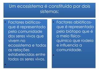 Um ecossistema é constituído por dois
               sistemas:

• Factores bióticos-      • Factores abióticos-
  que é representado        que é representado
  pela comunidade           pelo biótopo que é
  dos seres vivos que       o meio físico-
  vivem no                  químico que rodeia
  ecossistema e todas       e influencia a
  as relações               comunidade.
  estabelecidas entre     •
  todos os seres vivos.
•
 