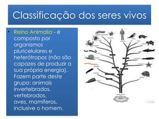 Classificação dos seres vivos
• Reino Animalia - é
  composto por
  organismos
  pluricelulares e
  heterótropos (não são
  capazes de produzir a
  sua própria energia).
  Fazem parte deste
  grupo: animais
  invertebrados,
  vertebrados,
  aves, mamíferos,
  inclusive o homem.
 