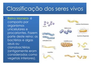 Classificação dos seres vivos
• Reino Monera- é
  composto por
  organismos
  unicelulares e
  procariontes. Fazem
  parte deste reino: as
  bactérias e algas
  azuis ou
  cianobactérias
  (antigamente eram
  consideradas como
  vegetais inferiores).
 