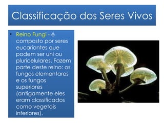 Classificação dos Seres Vivos
• Reino Fungi - é
  composto por seres
  eucariontes que
  podem ser uni ou
  pluricelulares. Fazem
  parte deste reino: os
  fungos elementares
  e os fungos
  superiores
  (antigamente eles
  eram classificados
  como vegetais
  inferiores).
 