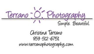 Terrano Phototography Business Card and Logo