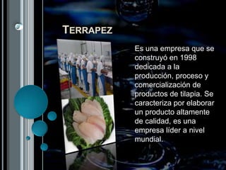 TerrapezEs una empresa que se construyó en 1998 dedicada a la producción, proceso y comercialización de productos de tilapia. Se caracteriza por elaborar un producto altamente de calidad, es una empresa líder a nivel mundial.