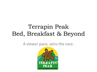 Terrapin Peak
Bed, Breakfast & Beyond
   A slower pace, wins the race.
 