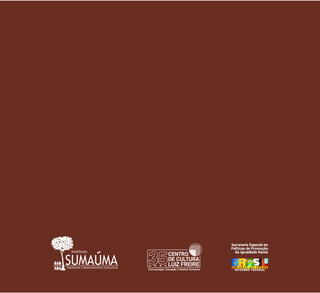 Trabalhando o Desenvolvimento Institucional
SUMAUMA
Instituto
 