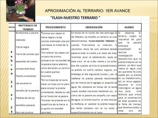 APROXIMACIÓN AL TERRARIO: 1ER AVANCE 