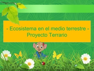 - Ecosistema en el medio terrestre -
Proyecto Terrario
 