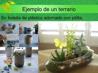 Ejemplo de un terrario
En botella de plástico adornado con pitilla.