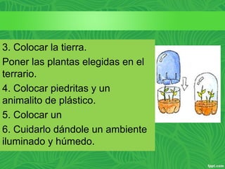 3. Colocar la tierra.
Poner las plantas elegidas en el
terrario.
4. Colocar piedritas y un
animalito de plástico.
5. Colocar un
6. Cuidarlo dándole un ambiente
iluminado y húmedo.