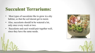 Succulent Terrariums:
• Most types of succulents like to grow in a dry
habitat, so that the soil doesnt get to moist.
• Also, succulents should’nt be watered a lot,
only once every week or two.
• Succulents and cacti would pair together well,
since they have the same needs.
 