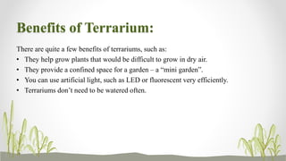Benefits of Terrarium:
There are quite a few benefits of terrariums, such as:
• They help grow plants that would be difficult to grow in dry air.
• They provide a confined space for a garden – a “mini garden”.
• You can use artificial light, such as LED or fluorescent very efficiently.
• Terrariums don’t need to be watered often.
 