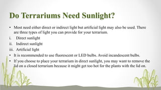 Do Terrariums Need Sunlight?
• Most need either direct or indirect light but artificial light may also be used. There
are three types of light you can provide for your terrarium.
i. Direct sunlight
ii. Indirect sunlight
iii. Artificial light
• It is recommended to use fluorescent or LED bulbs. Avoid incandescent bulbs.
• If you choose to place your terrarium in direct sunlight, you may want to remove the
lid on a closed terrarium because it might get too hot for the plants with the lid on.
 