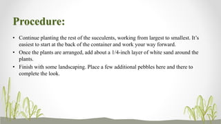 Procedure:
• Continue planting the rest of the succulents, working from largest to smallest. It’s
easiest to start at the back of the container and work your way forward.
• Once the plants are arranged, add about a 1/4-inch layer of white sand around the
plants.
• Finish with some landscaping. Place a few additional pebbles here and there to
complete the look.
 