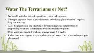 Water The Terrariums or Not?
• We should water but not as frequently as typical indoor plants.
• The types of plants found in terrariums tend to be hardy plants that don’t require
frequent watering.
• Also, the greenhouse-like structure of terrariums recycles water instead of
evaporating water into the ambient air with normal indoor plants.
• Open terrariums benefit from being watered every 3-6 weeks.
• Rather than watering on a schedule, check the soil to see if and how much water your
plants need.
 